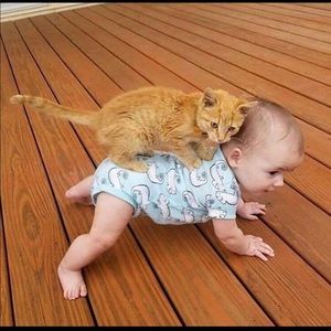 Meet your Posher, Harpreet kaur